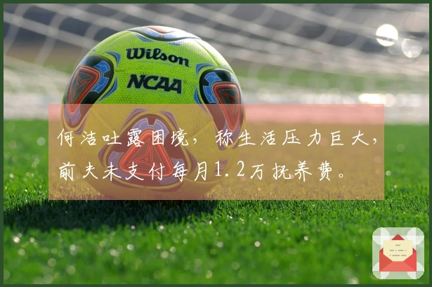 何洁吐露困境，称生活压力巨大，前夫未支付每月1.2万抚养费。