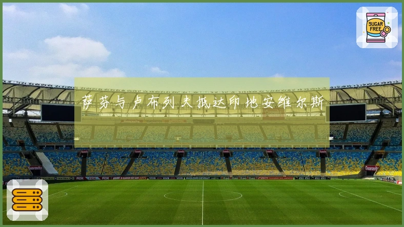 萨芬与卢布列夫抵达印地安维尔斯